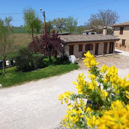 Agriturismo Il Borghetto Монтефалько Екстер'єр фото