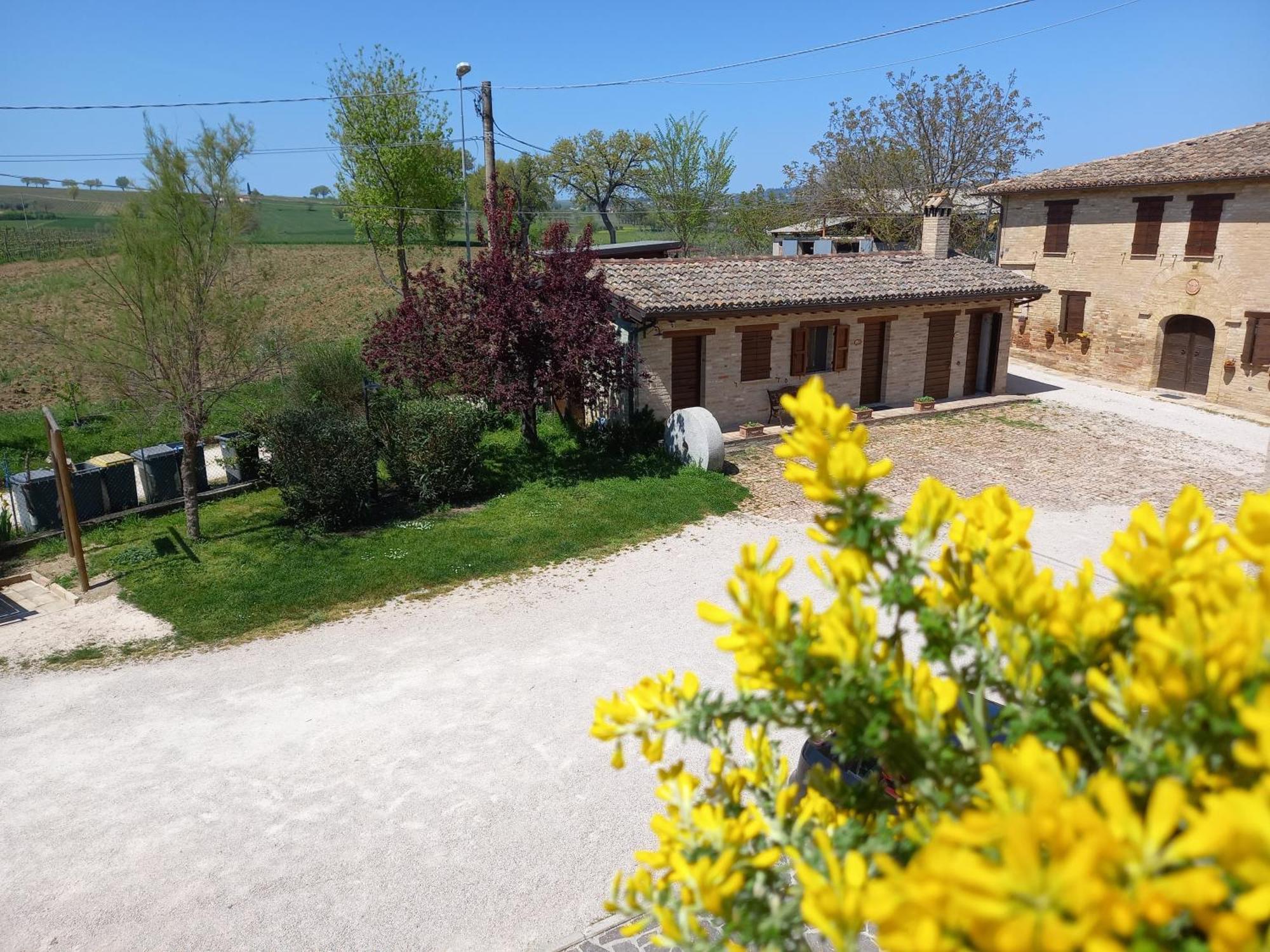 Agriturismo Il Borghetto Монтефалько Екстер'єр фото